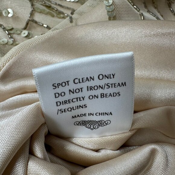 NWT Sue Wong Womens Champagne Column V-neck Empire Waist Gown Size 8 Style N3149 - Picture 14 of 16